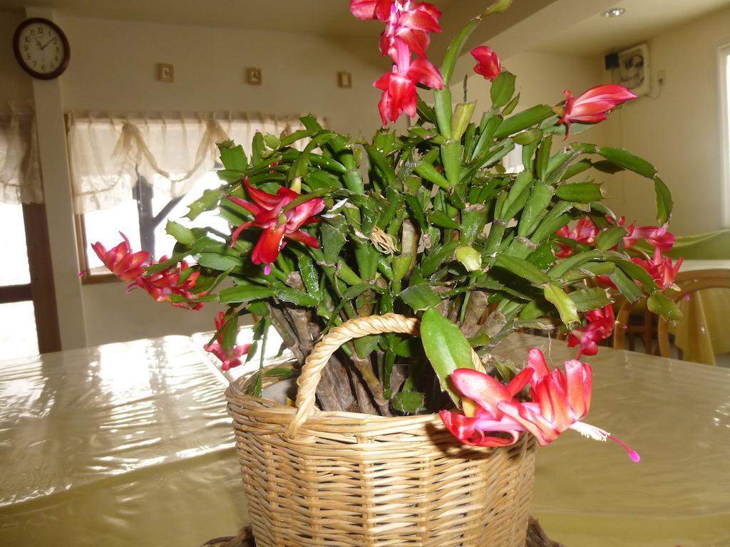 Annex Aburaya Hotel Iiyama Luaran gambar
